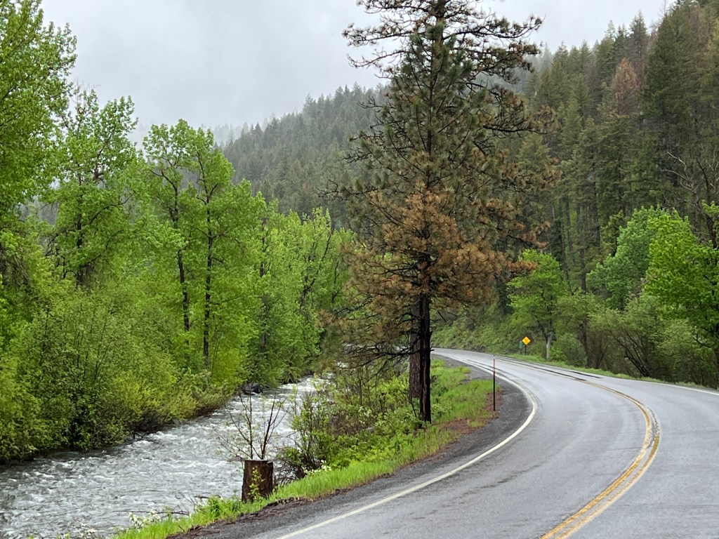 Day 15: Cold In&nbsp;Idaho