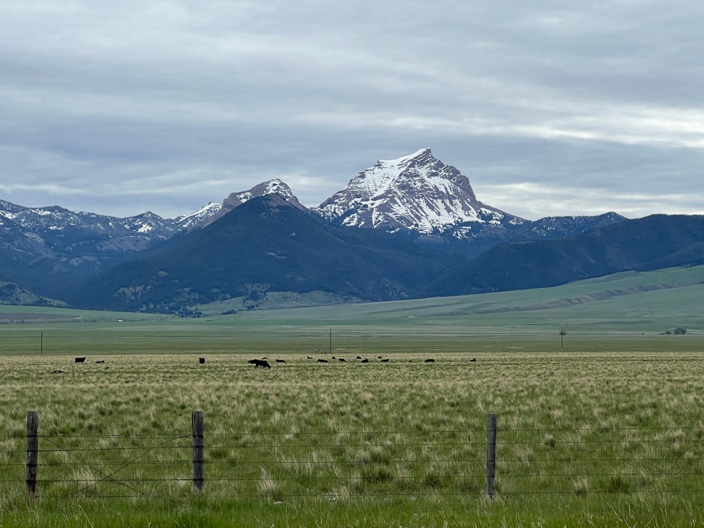 Day 25: Photo&nbsp;Dump!